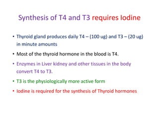 Synthesis of T4 and T3 requires Iodine
• Thyroid gland produces daily T4 – (100 ug) and T3 – (20 ug)
in minute amounts
• Most of the thyroid hormone in the blood is T4.
• Enzymes in Liver kidney and other tissues in the body
convert T4 to T3.
• T3 is the physiologically more active form
• Iodine is required for the synthesis of Thyroid hormones
 