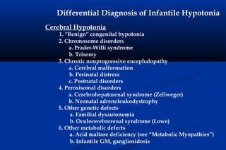 Differential Diagnosis of Infantile Hypotonia
Cerebral Hypotonia
1. “Benign” congenital hypotonia
2. Chromosome disorders
a. Prader-Willi syndrome
b. Trisomy
3. Chronic nonprogressive encephalopathy
a. Cerebral malformation
b. Perinatal distress
c. Postnatal disorders
4. Peroxisomal disorders
a. Cerebrohepatorenal syndrome (Zellweger)
b. Neonatal adrenoleukodystrophy
5. Other genetic defects
a. Familial dysautonomia
b. Oculocerebrorenal syndrome (Lowe)
6. Other metabolic defects
a. Acid maltase deficiency (see “Metabolic Myopathies”)
b. Infantile GM, gangliosidosis
 