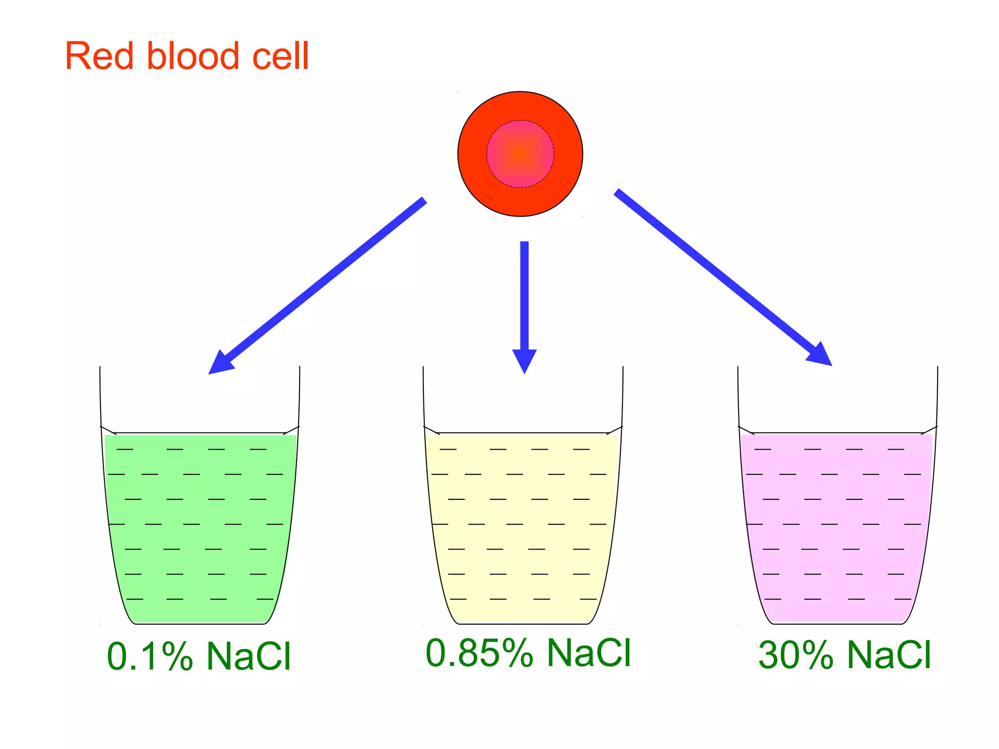 Isotonic Rbc CHAPTER 3 : 2. Hypotonic, Hypertonic and Isotonic Solutions | PPT
