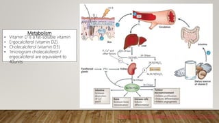 Metabolism
• Vitamin D is a fat-soluble vitamin
• Ergocalciferol (vitamin D2)
• Cholecalciferol (vitamin D3)
• 1microgram cholecalciferol /
ergocalciferol are equivalent to
40units
https://www.researchgate.net/profile/Nicola-Giordano,
2017
 