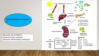 Wimalawansa SJ etal2016
Endocrinal action of vitamin
D:
Decrease risk of NAFLD.
Improve insulin resistant.
Decrease inflammatory mediators.
 