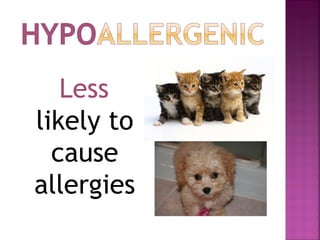 Less
likely to
cause
allergies