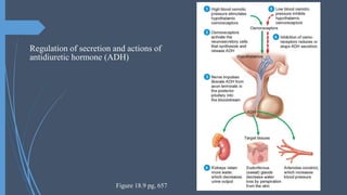 hypovolemia