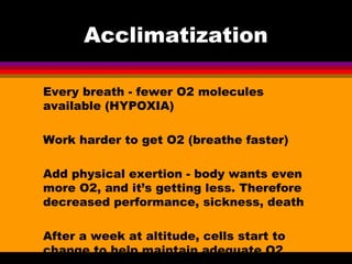 Acclimatization
Every breath - fewer O2 molecules
available (HYPOXIA)
Work harder to get O2 (breathe faster)
Add physical exertion - body wants even
more O2, and it’s getting less. Therefore
decreased performance, sickness, death
After a week at altitude, cells start to
change to help maintain adequate O2
 