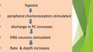 Hypoxia - Respiratory physiology | PDF