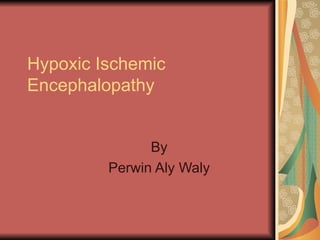 Hypoxic Ischemic Encephalopathy By Perwin Aly Waly 