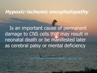 Hypoxic-ischemic encephalopathy   Is an important cause of permanent damage to CNS cells that may result in neonatal death...