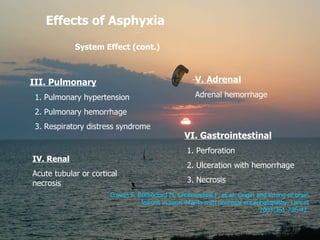 Effects of Asphyxia  System Effect (cont.) III. Pulmonary 1. Pulmonary hypertension 2. Pulmonary hemorrhage 3. Respiratory...