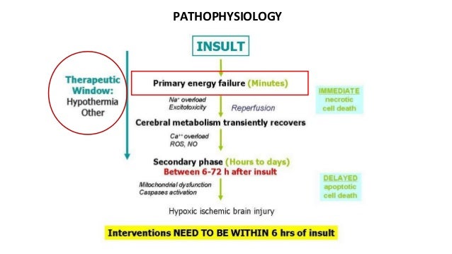 hypoxic ischemic encephalopathy