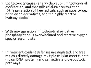 • Excitotoxicity causes energy depletion, mitochondrial
dysfunction, and cytosolic calcium accumulation,
the generation of free radicals, such as superoxide,
nitric oxide derivatives, and the highly reactive
hydroxyl radical.
• With reoxygenation, mitochondrial oxidative
phosphorylation is overwhelmed and reactive oxygen
species accumulate
• Intrinsic antioxidant defenses are depleted, and free
radicals directly damage multiple cellular constituents
(lipids, DNA, protein) and can activate pro-apoptotic
pathways.
 