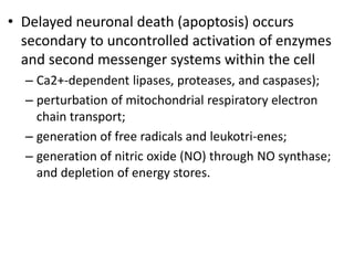 • Delayed neuronal death (apoptosis) occurs
secondary to uncontrolled activation of enzymes
and second messenger systems within the cell
– Ca2+-dependent lipases, proteases, and caspases);
– perturbation of mitochondrial respiratory electron
chain transport;
– generation of free radicals and leukotri-enes;
– generation of nitric oxide (NO) through NO synthase;
and depletion of energy stores.
 