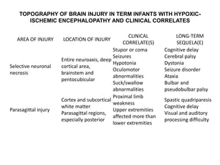 TOPOGRAPHY OF BRAIN INJURY IN TERM INFANTS WITH HYPOXIC-
ISCHEMIC ENCEPHALOPATHY AND CLINICAL CORRELATES
AREA OF INJURY LOCATION OF INJURY
CLINICAL
CORRELATE(S)
LONG-TERM
SEQUELA(E)
Selective neuronal
necrosis
Entire neuroaxis, deep
cortical area,
brainstem and
pentocubicular
Stupor or coma
Seizures
Hypotonia
Oculomotor
abnormalities
Suck/swallow
abnormalities
Cognitive delay
Cerebral palsy
Dystonia
Seizure disorder
Ataxia
Bulbar and
pseudobulbar palsy
Parasagittal injury
Cortex and subcortical
white matter
Parasagittal regions,
especially posterior
Proximal limb
weakness
Upper extremities
affected more than
lower extremities
Spastic quadriparesis
Cognitive delay
Visual and auditory
processing difficulty
 