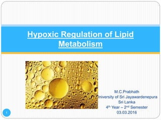 M.C.Prabhath
University of Sri Jayawardenepura
Sri Lanka
4th Year – 2nd Semester
03.03.2016
Hypoxic Regulation of Lipid
Metabolism
1
 