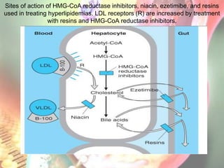 Sites of action of HMG-CoA reductase inhibitors, niacin, ezetimibe, and resins
used in treating hyperlipidemias. LDL receptors (R) are increased by treatment
                 with resins and HMG-CoA reductase inhibitors.
 