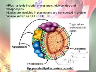 Plasma lipids include: cholesterols, triglycerides and
phospholipids.
Lipids are insoluble in plasma and are transported in protein
capsule known as LIPOPROTEIN
 