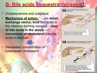 B- Bile acids Sequestrants(resins):
• Cholestyramine and colestipol.
• Mechanism of action: are anion
exchange resins; bind bile acids in
the intestine forming complex →loss
of bile acids in the stools →↑
conversion of cholesterol into bile
acids in the liver.
• Decreased concentration of
intrahepatic cholesterol
 