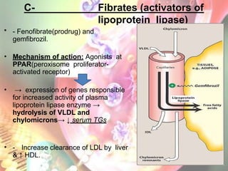 C- Fibrates (activators of
lipoprotein lipase)
• - Fenofibrate(prodrug) and
gemfibrozil.
• Mechanism of action: Agonists at
PPAR(peroxisome proliferator-
activated receptor)
• → expression of genes responsible
for increased activity of plasma
lipoprotein lipase enzyme →
hydrolysis of VLDL and
chylomicrons→ ↓ serum TGs
• - Increase clearance of LDL by liver
& ↑ HDL.
 