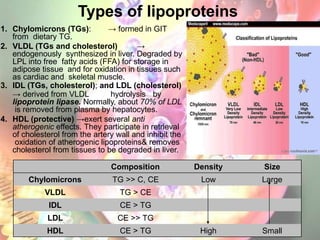 Types of lipoproteins
1. Chylomicrons (TGs): → formed in GIT
from dietary TG.
2. VLDL (TGs and cholesterol) →
endogenously synthesized in liver. Degraded by
LPL into free fatty acids (FFA) for storage in
adipose tissue and for oxidation in tissues such
as cardiac and skeletal muscle.
3. IDL (TGs, cholesterol); and LDL (cholesterol)
→ derived from VLDL hydrolysis by
lipoprotein lipase. Normally, about 70% of LDL
is removed from plasma by hepatocytes.
4. HDL (protective) →exert several anti
atherogenic effects. They participate in retrieval
of cholesterol from the artery wall and inhibit the
oxidation of atherogenic lipoproteins& removes
cholesterol from tissues to be degraded in liver.
Composition Density Size
Chylomicrons TG >> C, CE Low Large
VLDL TG > CE
IDL CE > TG
LDL CE >> TG
HDL CE > TG High Small
 