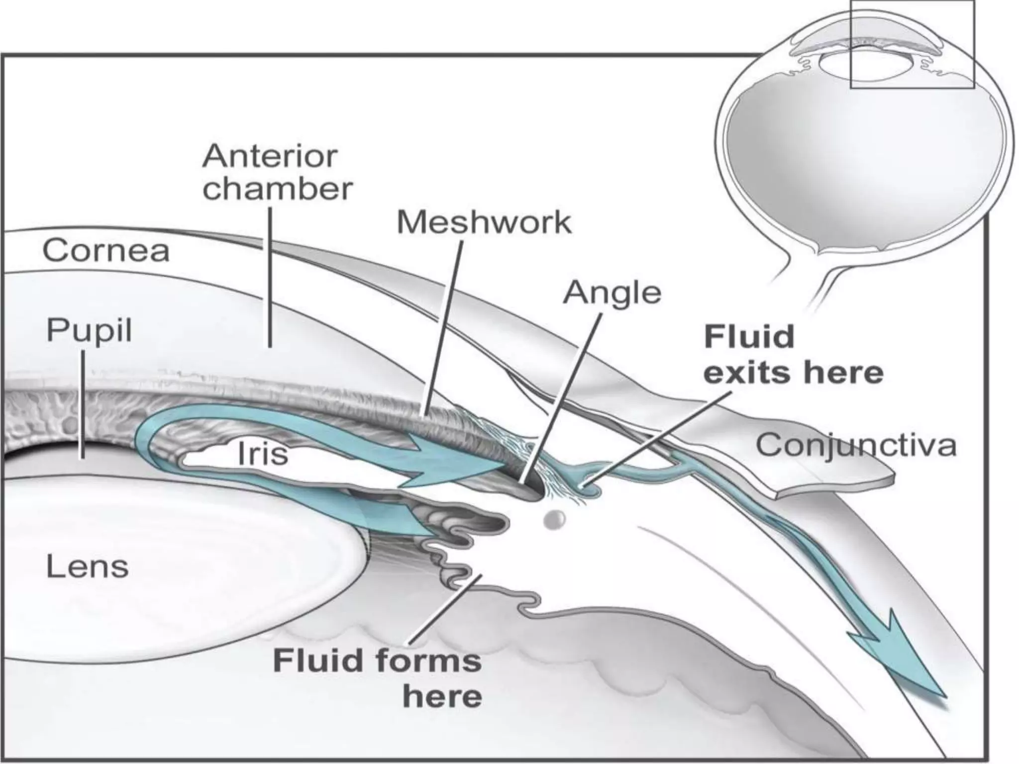 Ophthalmology High yield review