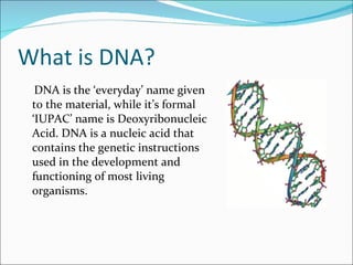 What is DNA? <ul><li>  DNA is the ‘everyday’ name given to the material, while it’s formal ‘IUPAC’ name is Deoxyribonuclei...