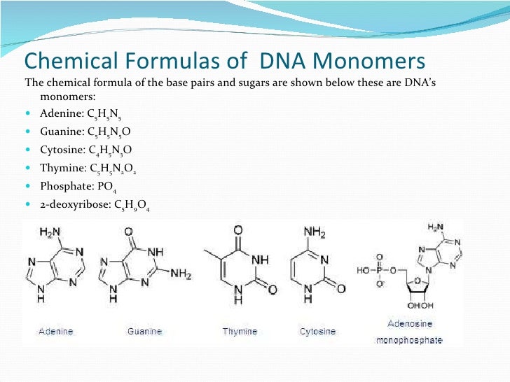 Guanine Physical Properties Guanine Physical Properties