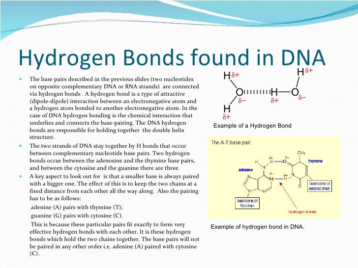 Why does hydrogen bonding occur?