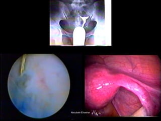 Aboubakr ElnasharAboubakr Elnashar  