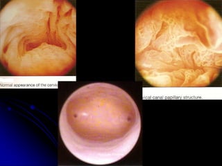 Aboubakr ElnasharAboubakr Elnashar  