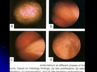 Aboubakr ElnasharAboubakr Elnashar  