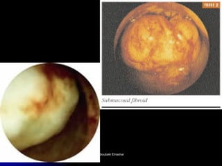 Aboubakr ElnasharAboubakr Elnashar  