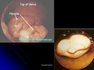 Aboubakr ElnasharAboubakr Elnashar  