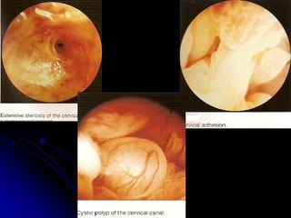 Aboubakr ElnasharAboubakr Elnashar  