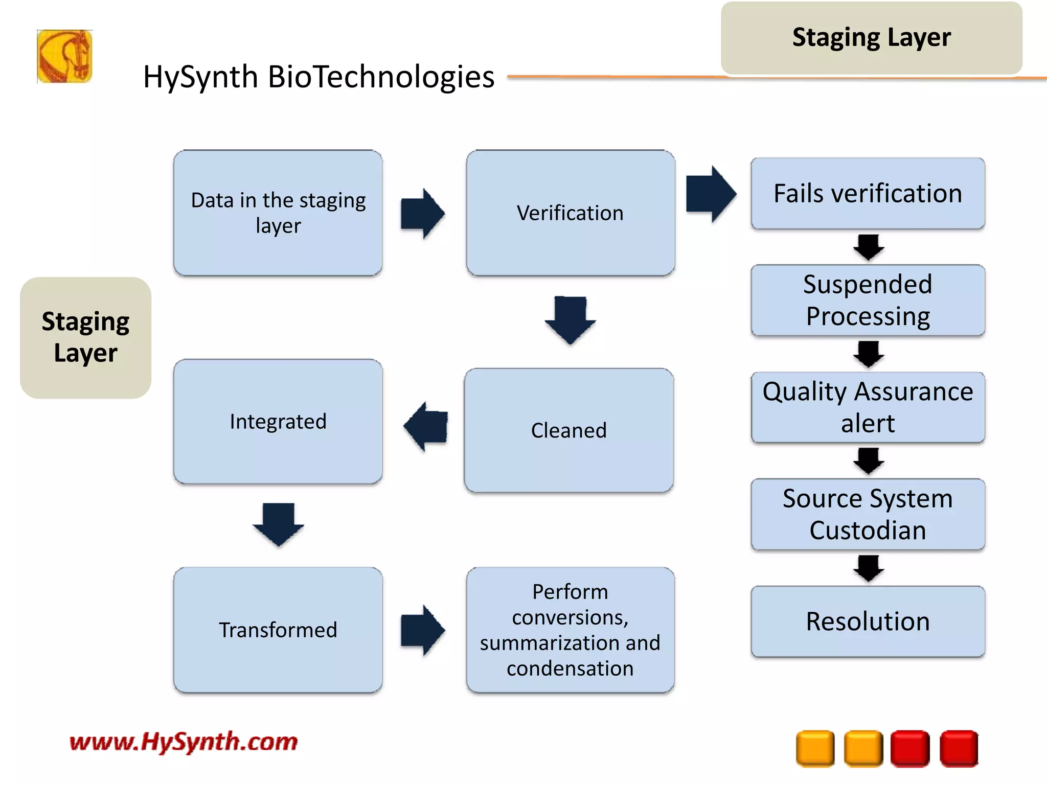 HySynth BioTechnologies
Data in the staging 
layer 
Verification
Cleaned Integrated 
Transformed
Perform 
conversions, 
summarization and 
condensation
Fails verification 
Suspended 
Processing
Quality Assurance 
alert
Source System 
Custodian
Resolution
Staging Layer
Staging 
Layer
 