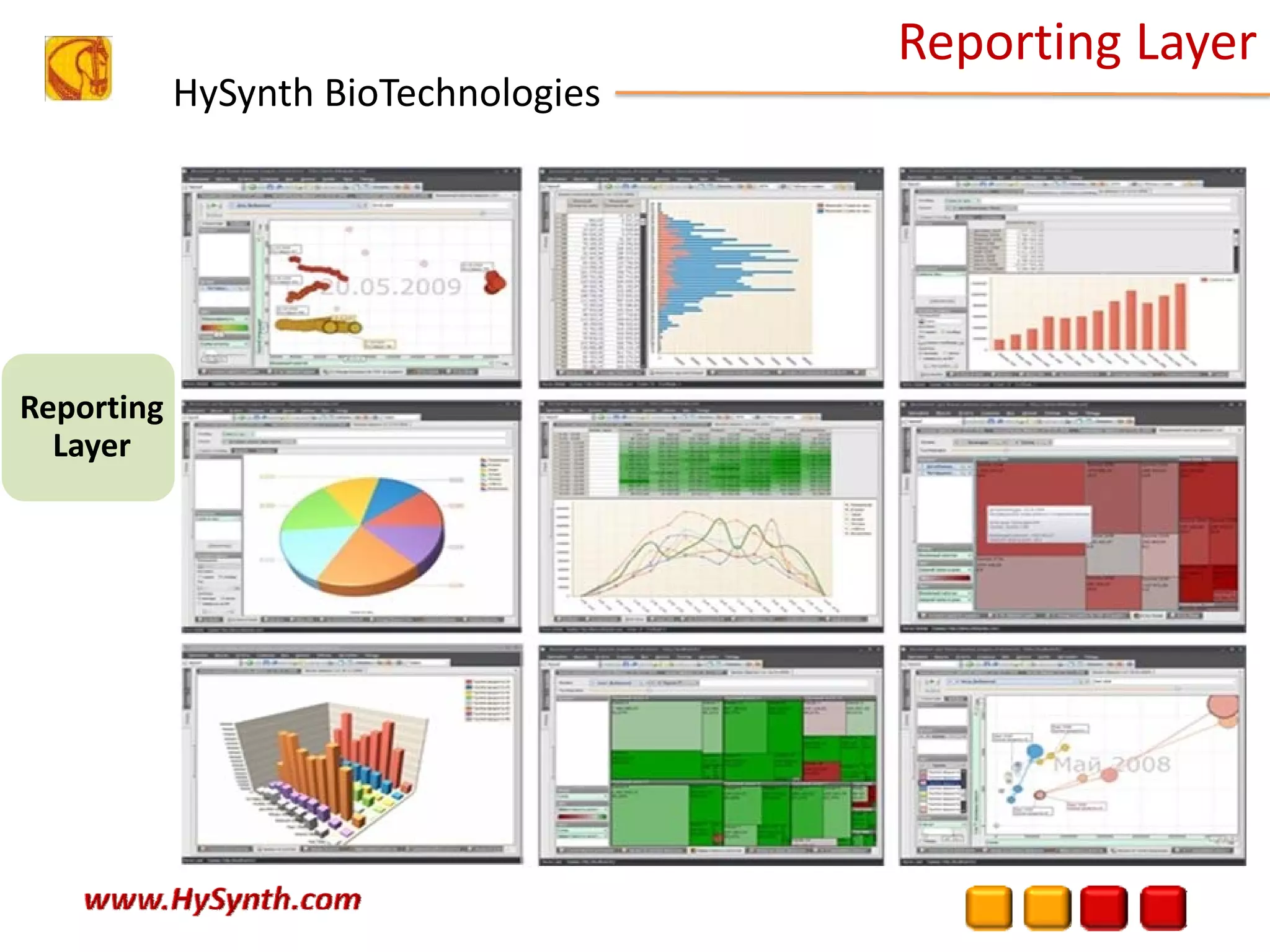 HySynth BioTechnologies
Reporting Layer
Reporting 
Layer
 