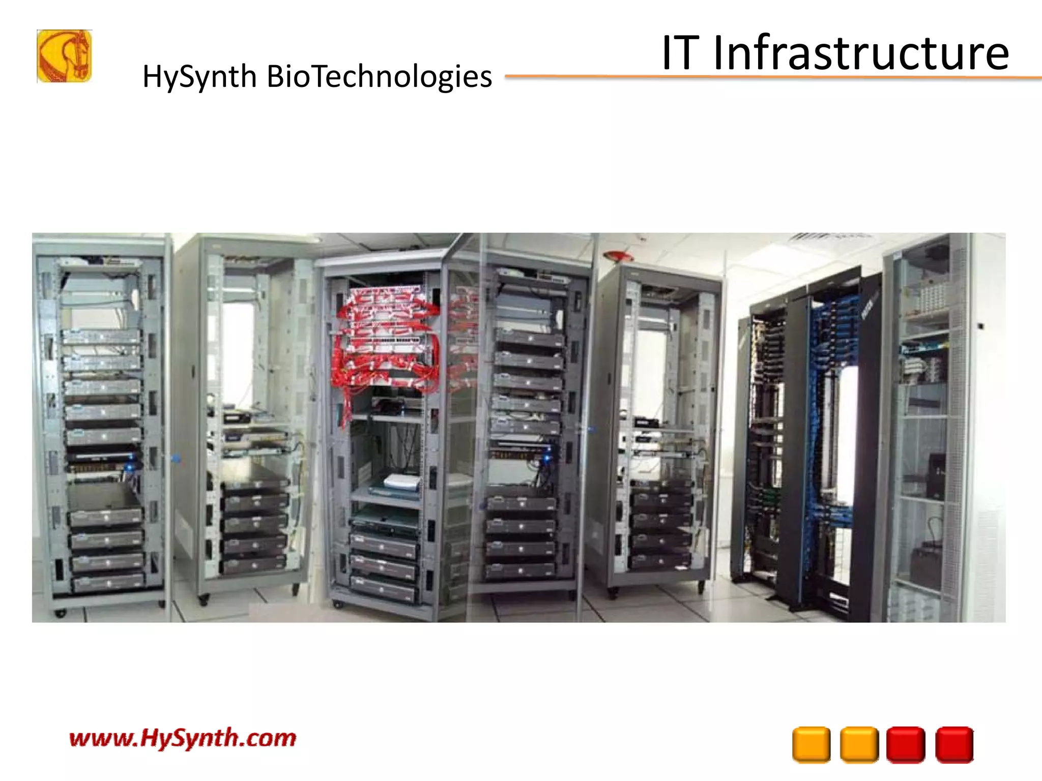 HySynth BioTechnologies
IT Infrastructure
 
