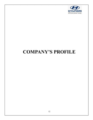 12
COMPANY’S PROFILE
 