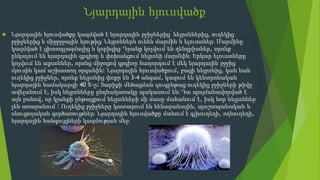 Նյարդային հյուսվածք
 Նյարդային հյուսվածքը կազմված է նյարդային բջիջներից՝ նեյրոններից, ուղեկից
բջիջներից և միջբջջային նյութից։ Նեյրոններն ունեն մարմին և ելուստներ։ Մարմինը
կազմված է ցիտոպլազմայից և կորիզից։ Դրանք կոչվում են դենդրիտներ, որոնք
ընկալում են նյարդային գրգիռը և փոխանցում նեյրոնի մարմնին։ Երկար ելուստները
կոչվում են աքսոններ, որոնց միջոցով գրգիռը հաղորդում է մեկ նյարդային բջջից
մյուսին կամ աշխատող օրգանին։ Նյարդային հյուսվածքում, բացի նեյրոնից, կան նաև
ուղեկից բջիջներ, որոնք նեյրոնից փոքր են 3-4 անգամ, կազում են կենտրոնական
նյարդային համակարգի 40 %-ը։ Տարիքի մեծացման զուգընթաց ուղեկից բջիջների թիվը
ավելանում է, իսկ նեյրոնները ընդհակառակը պակասում են։ Դա պայմանավորված է
այն բանով, որ կյանքի ընթացքում նեյրոնների մի մասը մահանում է, իսկ նոր նեյրոններ
չեն առաջանում ։ Ուղեկից բջիջները կատարում են հենարանային, պաշտպանական և
սնուցողական գործառույթներ։ Նյարդային հյուսվածքը մտնում է գլխուղեղի, ողնուղեղի,
նյարդային հանգույցների կազմության մեջ։
 