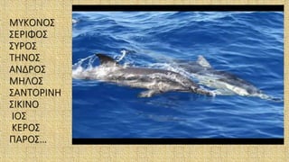 ΜΥΚΟΝΟΣ
ΣΕΡΙΦΟΣ
ΣΥΡΟΣ
ΤΗΝΟΣ
ΑΝΔΡΟΣ
ΜΗΛΟΣ
ΣΑΝΤΟΡΙΝΗ
ΣΙΚΙΝΟ
ΙΟΣ
ΚΕΡΟΣ
ΠΑΡΟΣ…
 