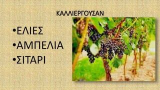 ΚΑΛΛΙΕΡΓΟΥΣΑΝ
•ΕΛΙΕΣ
•ΑΜΠΕΛΙΑ
•ΣΙΤΑΡΙ
 