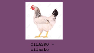 OILASKO -
oilasko
 