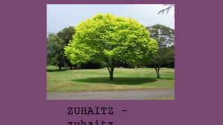 ZUHAITZ -
 