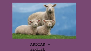 ARDIAK -
ardiak
 