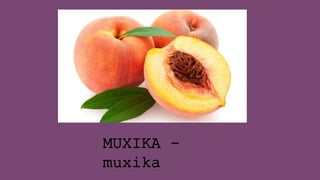 MUXIKA -
muxika
 