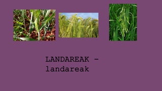LANDAREAK -
landareak
 