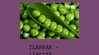 ILARRAK -
 
