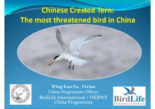 Wing Kan Fu , Vivian 
   China Programme Officer
BirdLife International / HKBWS
       China Programme
 