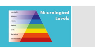 Neurological Levels  
