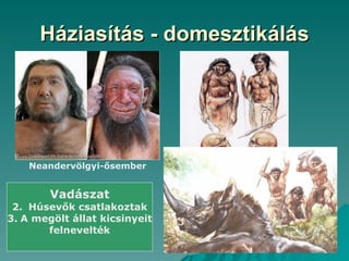 Háziasítás - domesztikálás




    Neandervölgyi-ősember


        Vadászat
 2. Húsevők csatlakoztak
3. A megölt állat kicsinyeit
       felnevelték
 