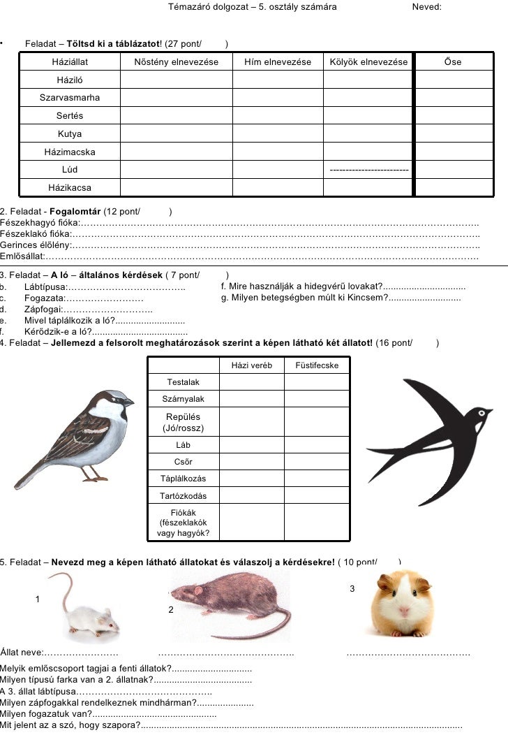 nyelvtan gyakorló feladatok 5 osztály pdf 6