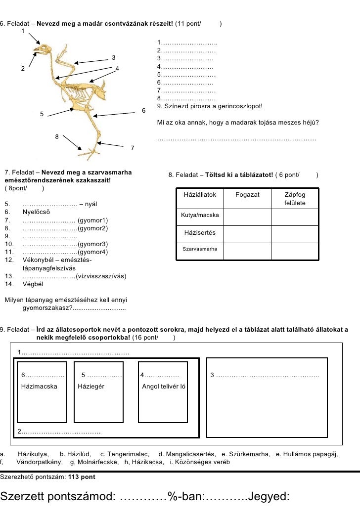 angol gyakorló feladatok 5 osztály pdf para